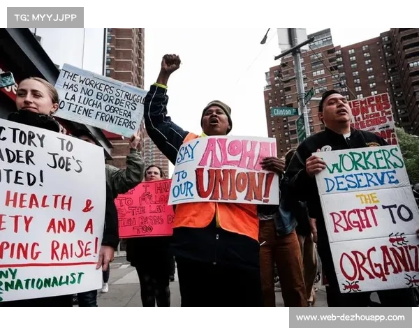 深度调查揭示球场扩建纠纷中的劳工权益问题及其社会影响